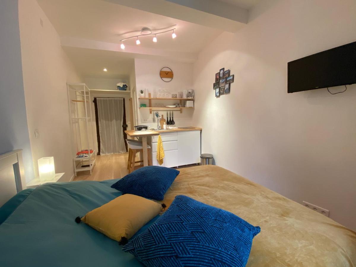 Studio Tres Agreable Proche De Auron Saint-Étienne-de-Tinée Eksteriør bilde